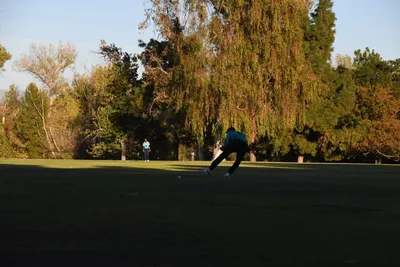 DSC_2373 (Large).JPG